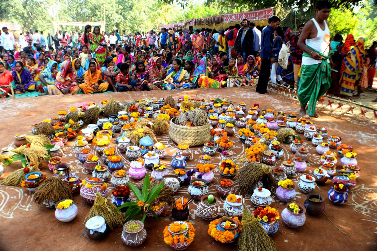 basudev odisha seeds3